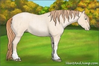 Horse Color:Buckskin Roan Pearl and Buckskin Roan Pearl