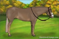 Horse Color:Chocolate Palomino 