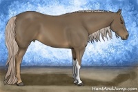 Horse Color:Chocolate Palomino 