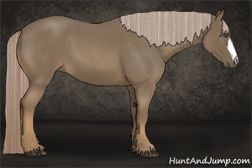 Horse Color:Chocolate Palomino Roan