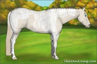 Horse Color:Smoky Creme  and Smoky Creme Tobiano 