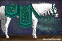 Horse Color:Bay Dun Sabino Splash