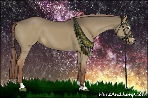 Horse Color:Liver Red Dun Sabino 