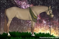 Horse Color:Liver Red Dun Sabino