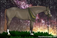 Horse Color:Liver Red Dun Sabino