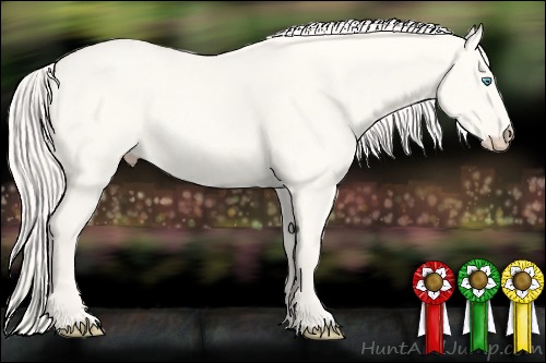 Horse Color:Cremello Dun 