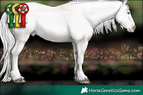 Horse Color:Cremello Dun 