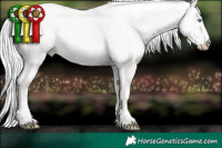 Horse Color:Cremello Dun 