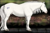 Horse Color:Cremello Dun 
