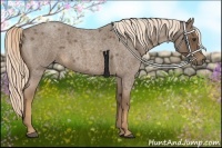 Horse Color:Chocolate Palomino Roan