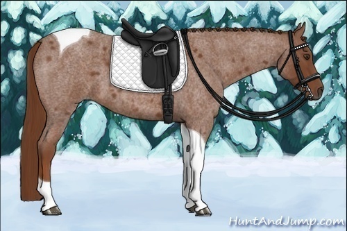 Horse Color:Red Roan Tobiano 