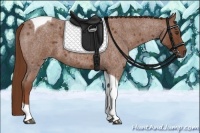 Horse Color:Red Roan Tobiano 