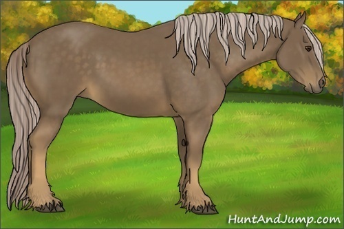 Horse Color:Chocolate Palomino
