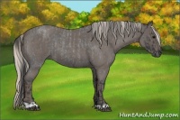 Horse Color:Blue Roan and Silver Blue Roan