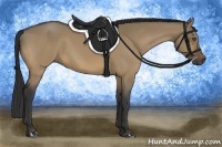 Horse Color:Buckskin Dun 