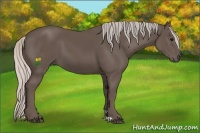 Horse Color:Silver Black