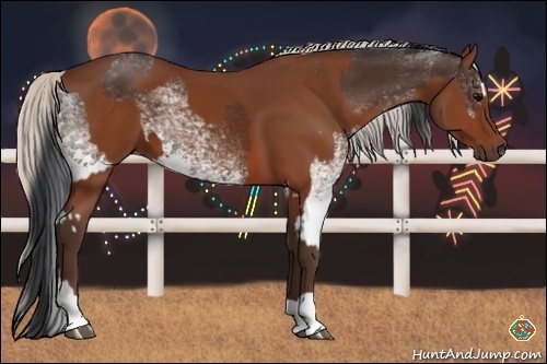 Horse Color:White Spotted Brown Splash  and Silver Bay 