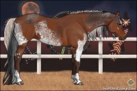 Horse Color:White Spotted Brown Splash and Silver Bay