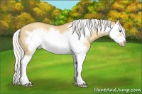 Horse Color:Silver Classic Champagne Roan Dun Splash Frame