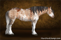 Horse Color:Silver Brown Dun Tobiano Brindle  and Brown Dun Sabino Splash Frame Brindle 