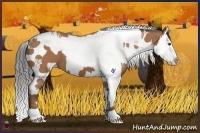 Horse Color:Buckskin Splash Tobiano and White Spotted Buckskin Splash