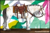 Horse Color:White Spotted Bay Dun Splash  and White Spotted Buckskin Dun Splash 
