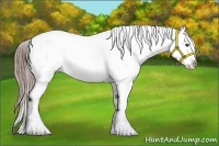 Horse Color:Liver Chestnut Tobiano Varnish