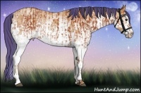 Horse Color:Painted White Spotted Bay Splash  and Painted White Spotted Amber Champagne Splash 