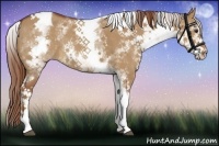 Horse Color:White Spotted Red Dun Tobiano Rabicano 