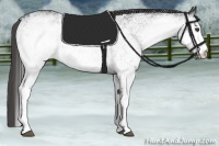 Horse Color:White Spotted Black  Brindle
