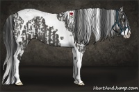 Horse Color:Liver Chestnut Sabino Splash and Black Splash Tobiano