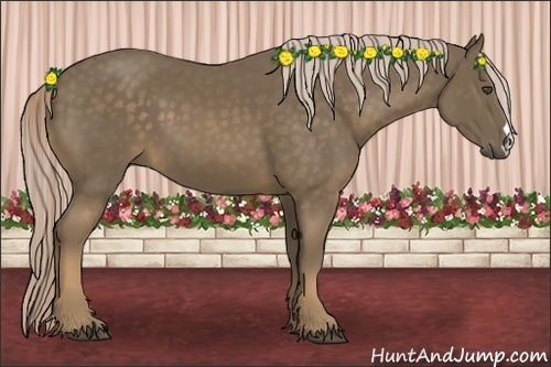 Horse Color:Chocolate Palomino 