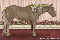 Horse Color:Chocolate Palomino 