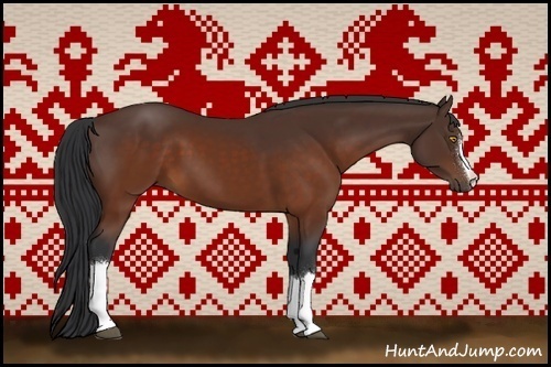 Horse Color:Brown 