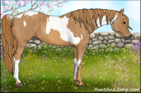 Horse Color:Gray White Spotted Black  Brindle