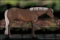 Horse Color:Silver Bay Sabino Rabicano