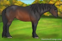 Horse Color:Brown 