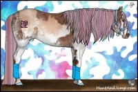 Horse Color:Painted White Spotted Brown Pearl Splash  and Painted White Spotted Chestnut Splash 