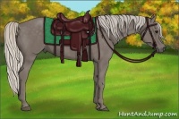 Horse Color:Silver Smoky Black 