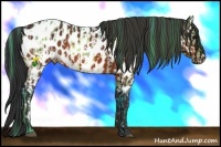 Horse Color:Nacre Watercolor Bay Near Leopard and Painted Bay Near Leopard