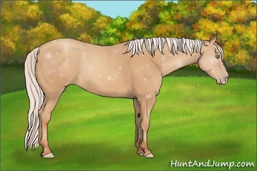 Horse Color:Silver Amber Champagne Frame 