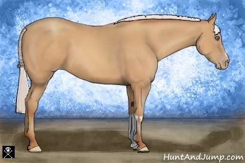 Horse Color:Silver Amber Champagne Frame