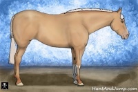 Horse Color:Silver Amber Champagne Frame 