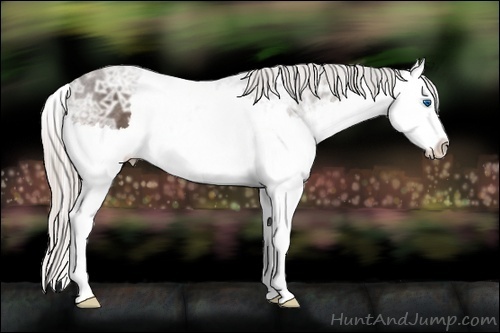 Horse Color:Silver Black Ice Splash