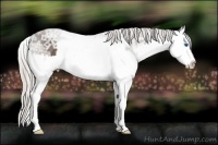 Horse Color:Silver Black Ice Splash