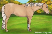 Horse Color:Silver Amber Champagne Frame 