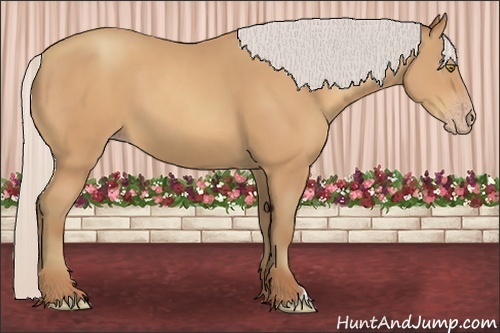 Horse Color:Silver Amber Champagne Frame