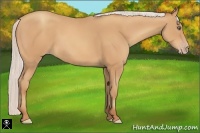 Horse Color:Silver Amber Champagne Frame 