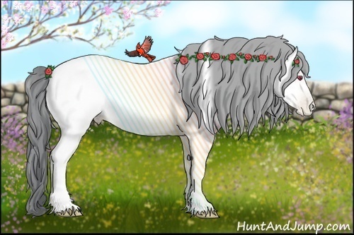 Horse Color:Bay Chinchilla Pearl Tobiano Rabicano