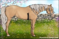 Horse Color:Silver Amber Champagne Frame 